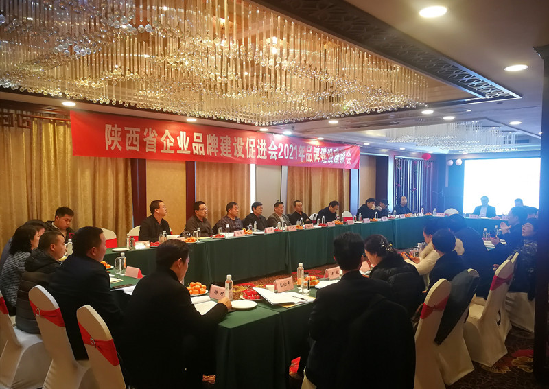 2021年陕西省企业品牌建设座谈会在西安成功举办(图2)
