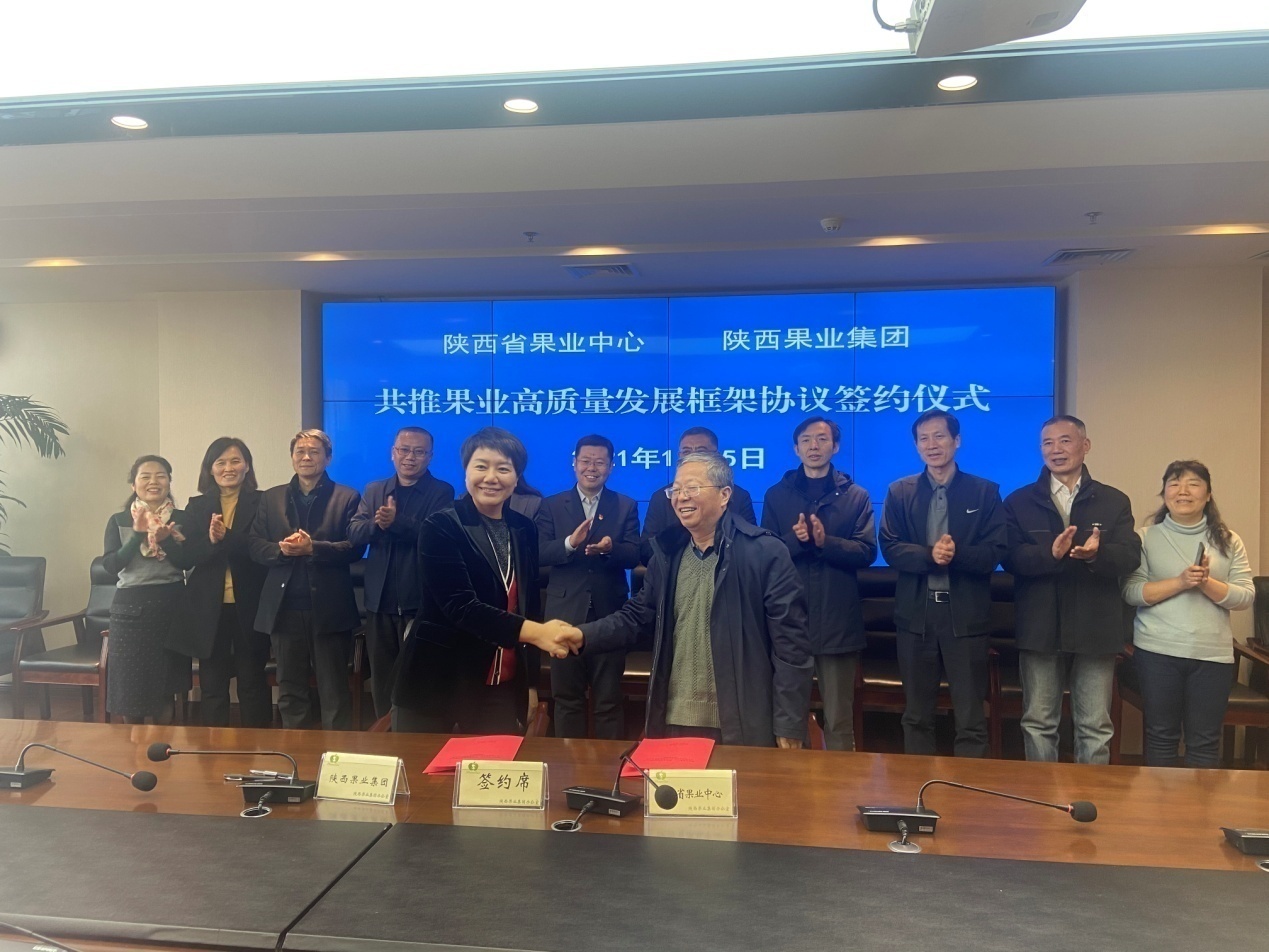 强化事企协作助推陕西果业高质量发展(图2)